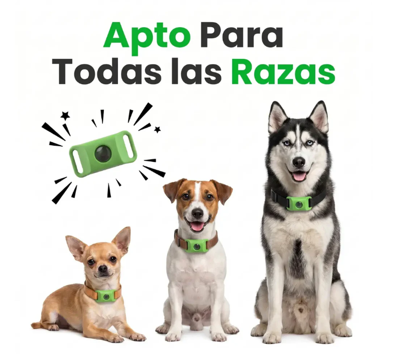KivoPet - 12 Meses de Protección Antipulgas y Garrapatas 100% Natural para Perros