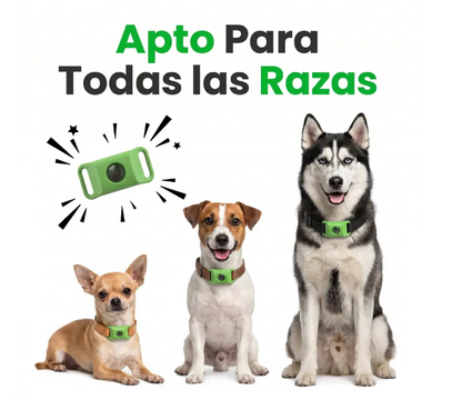 KivoPet - 12 Meses de Protección Antipulgas y Garrapatas 100% Natural para Perros