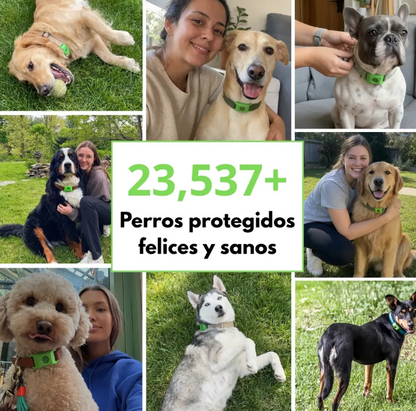 KivoPet - 12 Meses de Protección Antipulgas y Garrapatas 100% Natural para Perros