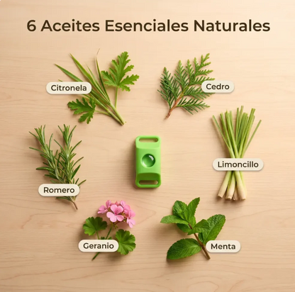 KivoPet - 12 Meses de Protección Antipulgas y Garrapatas 100% Natural para Perros