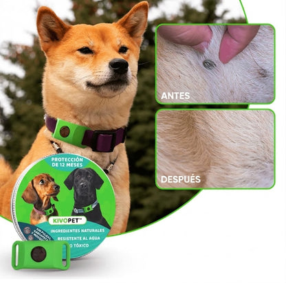 KivoPet - 12 Meses de Protección Antipulgas y Garrapatas 100% Natural para Perros