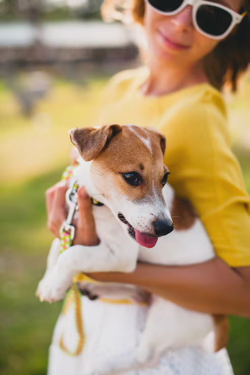 files/joven-elegante-mujer-hipster-que-camina-juega-perro_285396-1172.avif